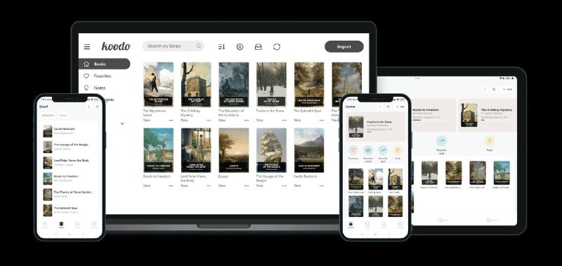  koodo-reader